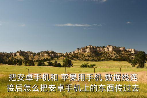 蘋(píng)果數(shù)據(jù)線和安卓數(shù)據(jù)線嗎