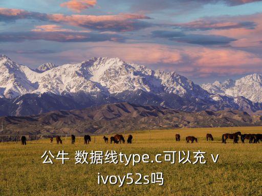 vivo數(shù)據(jù)線公頭,VIVO數(shù)據(jù)線