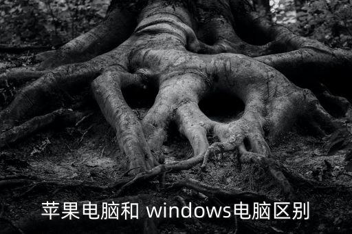 處理數(shù)據(jù)是Mac還是win好