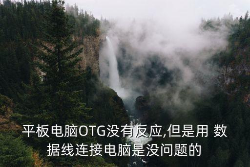 平板電腦OTG沒有反應(yīng),但是用 數(shù)據(jù)線連接電腦是沒問題的