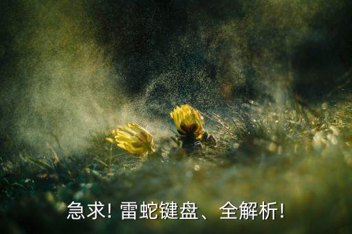 急求! 雷蛇鍵盤(pán)、全解析!
