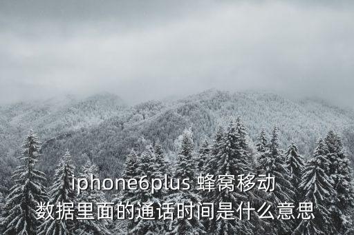 蘋果蜂窩數(shù)據(jù)時(shí)間