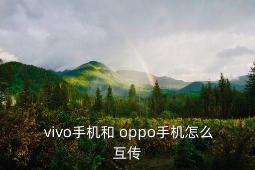 oppo vivo財(cái)務(wù)數(shù)據(jù),OPPO財(cái)務(wù)數(shù)據(jù)