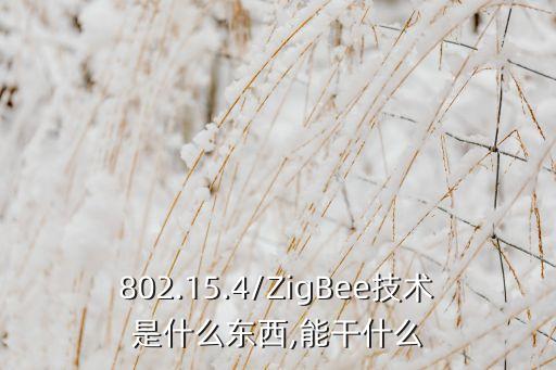 802.15.4/ZigBee技術(shù)是什么東西,能干什么