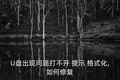 U盤出現(xiàn)問題打不開 提示 格式化,如何修復(fù)
