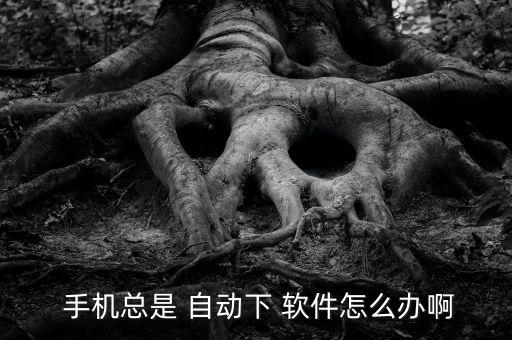  手機總是 自動下 軟件怎么辦啊