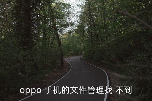 oppo 手機的文件管理找 不到