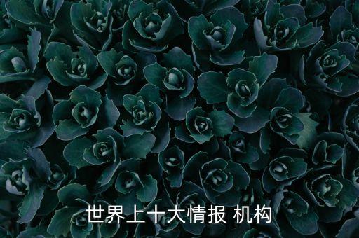 世界上十大情報 機構(gòu)