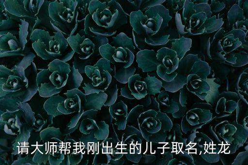 大調(diào)查 龍信數(shù)據(jù),龍信數(shù)據(jù)北京有限公司