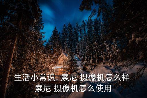 索尼攝像機(jī) FDRAX-700數(shù)據(jù)在哪里
