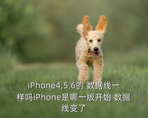 iPhone4,5,6的 數(shù)據(jù)線一樣嗎iPhone是哪一版開(kāi)始 數(shù)據(jù)線變了