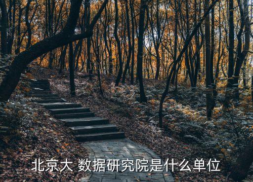 北京大 數(shù)據(jù)研究院是什么單位