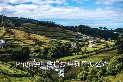 iPhone的 數(shù)據(jù)線序列號(hào)怎么查詢