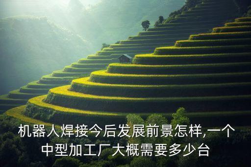 機(jī)器人2017半年報(bào)