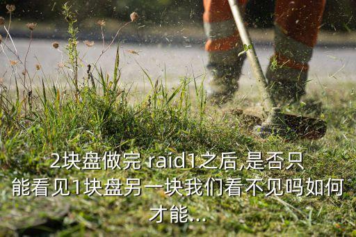 2塊盤做完 raid1之后,是否只能看見(jiàn)1塊盤另一塊我們看不見(jiàn)嗎如何才能...