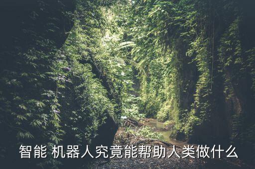  智能 機(jī)器人究竟能幫助人類做什么