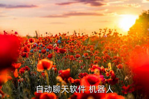 自動(dòng)聊天軟件 機(jī)器人