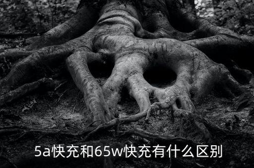 5a 數(shù)據(jù)線 對比,數(shù)據(jù)線選5A還是6A