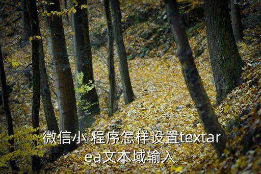  微信小 程序怎樣設(shè)置textarea文本域輸入