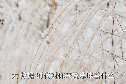 大 數(shù)據(jù) 時(shí)代對(duì)你來(lái)說(shuō)意味著什么