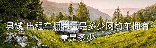 縣城 出租車擁有量是多少網(wǎng)約車擁有量是多少