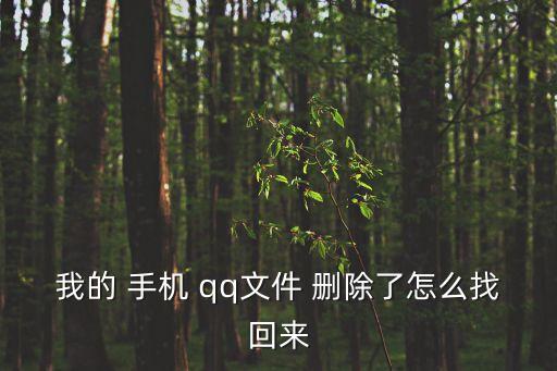 手機qq數(shù)據(jù)刪除,蘋果手機qq文稿和數(shù)據(jù)怎么刪除
