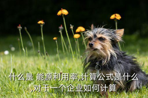 能源效率需要的數(shù)據(jù)