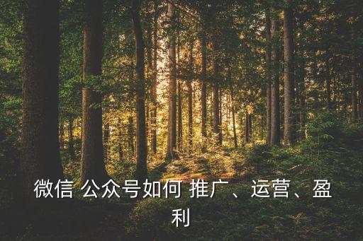  微信 公眾號(hào)如何 推廣、運(yùn)營(yíng)、盈利