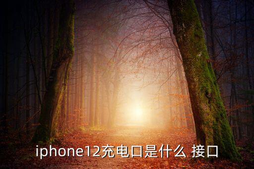 iphone12充電口是什么 接口