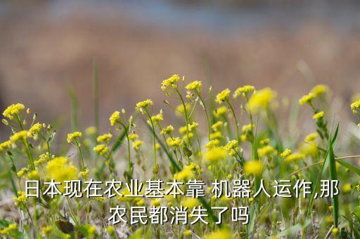 日本現(xiàn)在農(nóng)業(yè)基本靠 機(jī)器人運(yùn)作,那農(nóng)民都消失了嗎