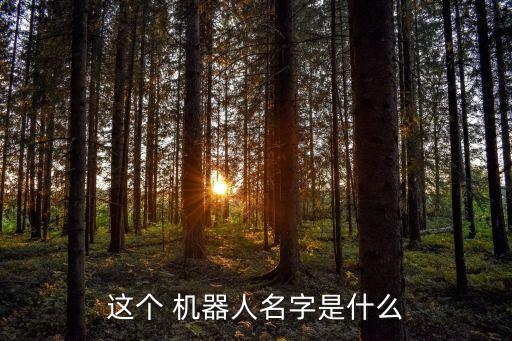 nao機(jī)器人編程,NAO機(jī)器人編程