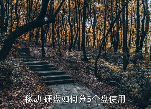 移動 硬盤如何分5個盤使用