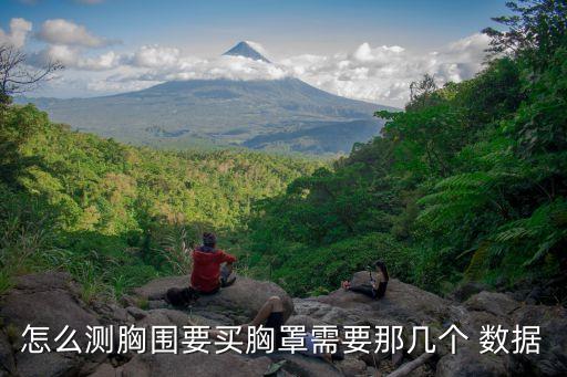 什么數(shù)據(jù)才是大胸,什么的屬性才是具體的數(shù)據(jù)