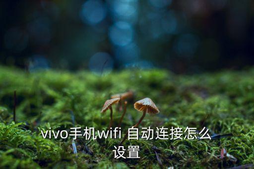怎樣wlan自動(dòng)登錄,怎樣取消手機(jī)QQ自動(dòng)登錄功能