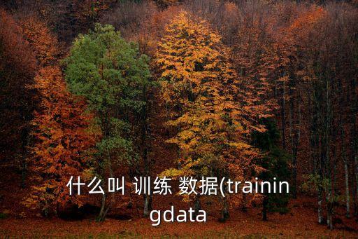 訓(xùn)練數(shù)據(jù) 如何訓(xùn)練,訓(xùn)練集是如何訓(xùn)練模型的