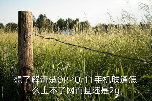 想了解清楚OPPOr11手機(jī)聯(lián)通怎么上不了網(wǎng)而且還是2g