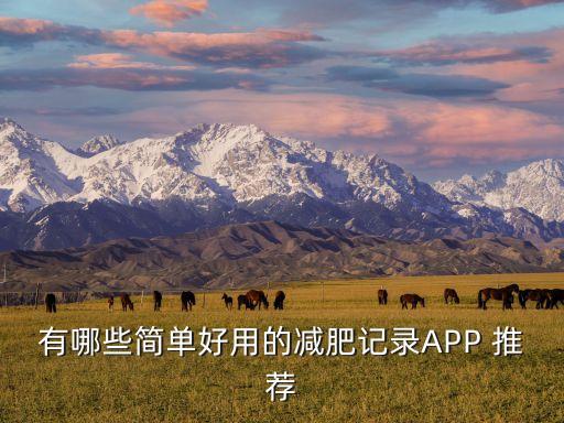 有哪些簡單好用的減肥記錄APP 推薦