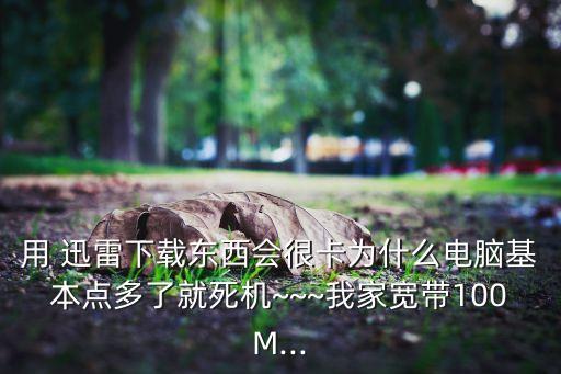 迅雷與迅雷大數(shù)據(jù)