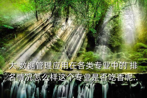 大 數(shù)據(jù)管理應(yīng)用在各類專業(yè)中的 排名情況怎么樣這個專業(yè)是否吃香呢...
