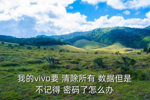 我的vivo要 清除所有 數(shù)據(jù)但是不記得 密碼了怎么辦