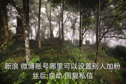 微博可以自動回復(fù)