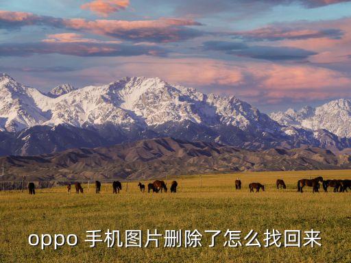 oppo 手機(jī)圖片刪除了怎么找回來