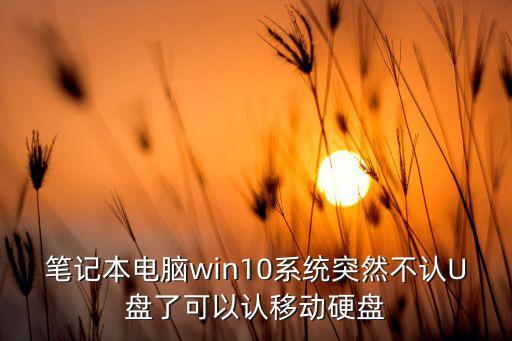 筆記本電腦win10系統(tǒng)突然不認(rèn)U盤了可以認(rèn)移動硬盤