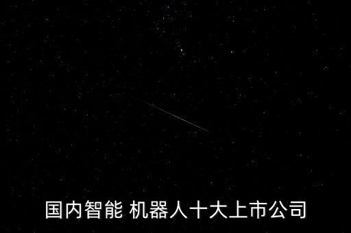 極創(chuàng)機(jī)器人有限公司,上海賽創(chuàng)機(jī)器人科技有限公司
