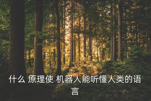 什么 原理使 機器人能聽懂人類的語言