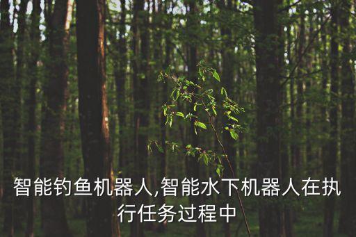 水下智能釣魚(yú)機(jī)器人,智能水下機(jī)器人在執(zhí)行任務(wù)過(guò)程中