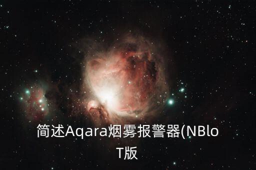nb lot數(shù)據(jù)手冊