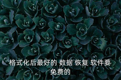 格式化后最好的 數(shù)據(jù) 恢復(fù) 軟件要免費(fèi)的