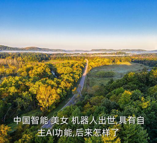 中國智能 美女 機(jī)器人出世,具有自主AI功能,后來怎樣了