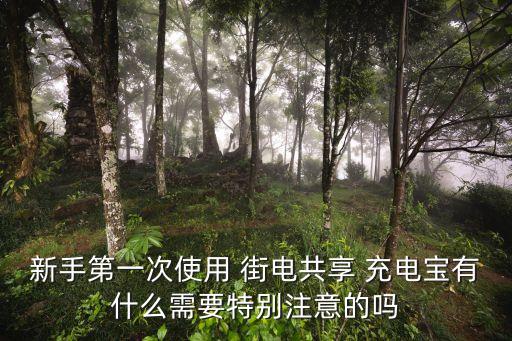 新手第一次使用 街電共享 充電寶有什么需要特別注意的嗎